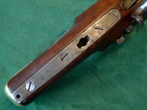 Flank&ouml;rpistole